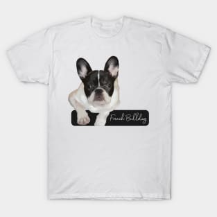 French Bulldog T-Shirt